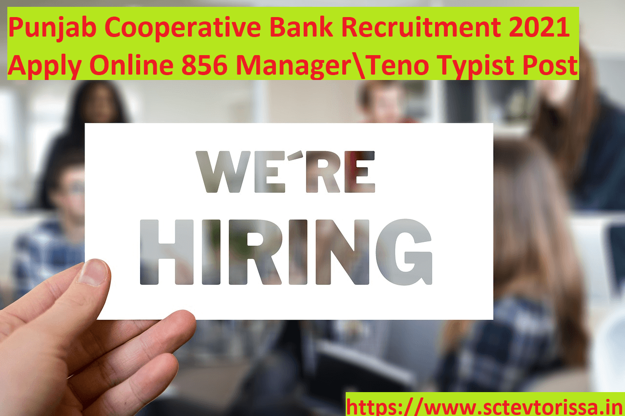 Punjab Cooperative Bank Manager Recruitment