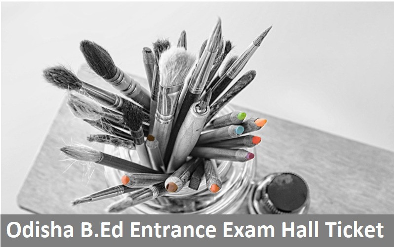Odisha B.Ed Entrance Exam Hall Ticket