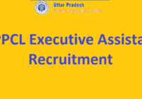 UPPCL Executive Assistant Recruitment
