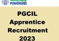 PGCIL Apprentice Recruitment 2023