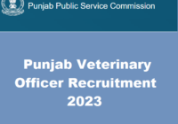 Punjab Veterinary Officer Recruitment 2023