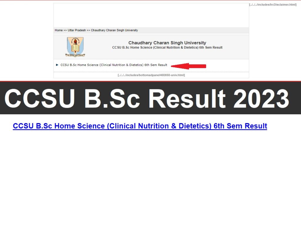 CCS University B.Sc Result 2023